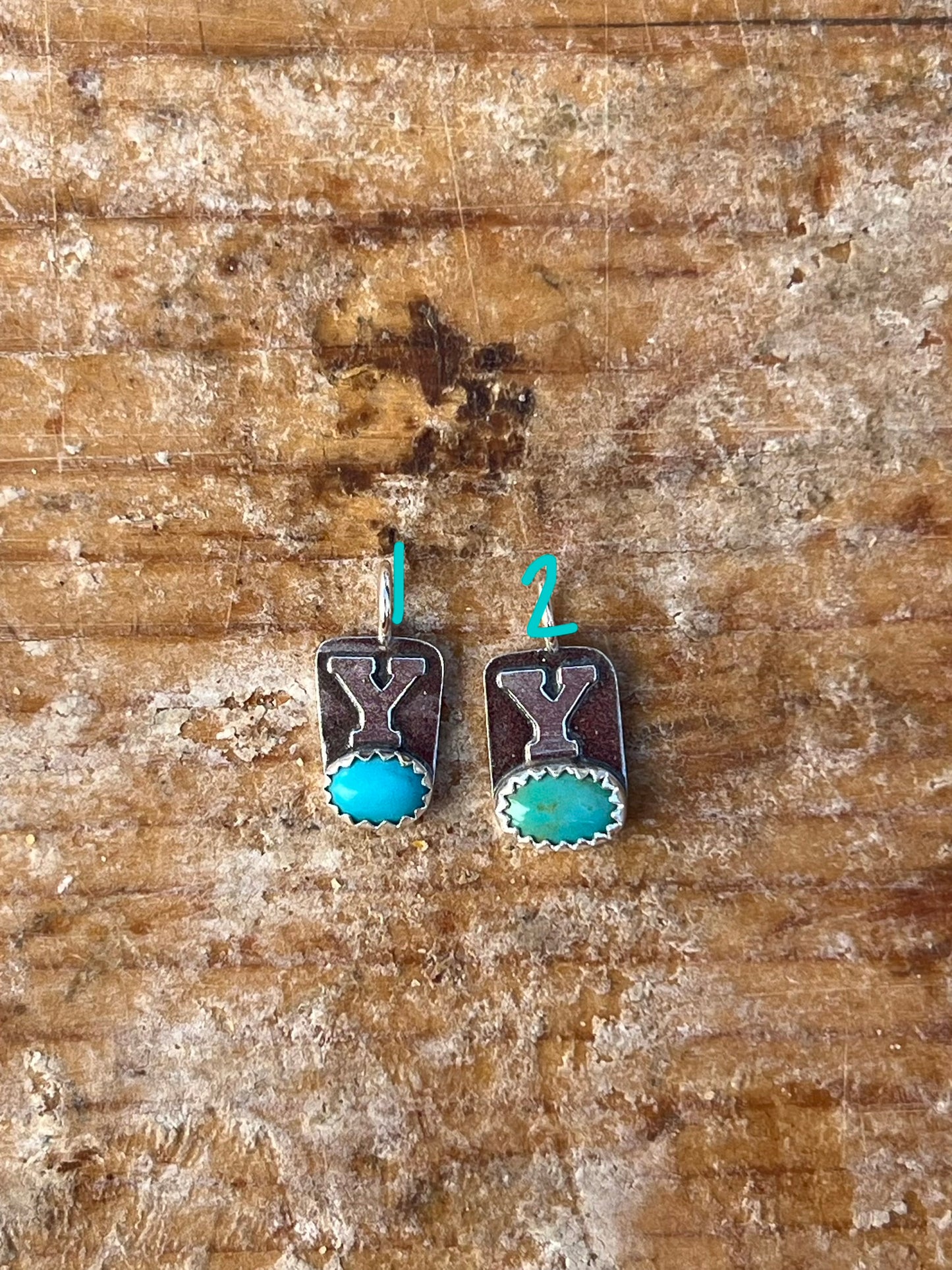 Cowgirl charms- Y
